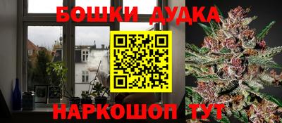 гашик Краснодар