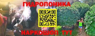 гидропоника Краснознаменск