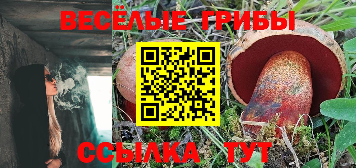 Псилоцибиновые грибы MAGIC MUSHROOMS  Галлюциногенные грибы мухоморы  Вход с VPN  Касимов 